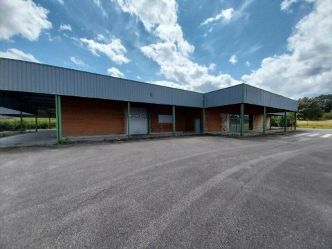 Vente Local d'activité / Entrepôt, 2500 m2 à Saint-Dié (88100) en France