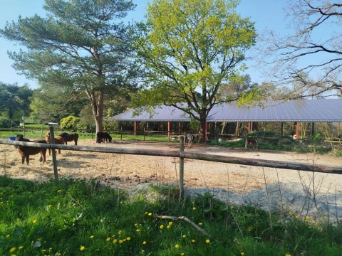 Vente Local commercial Bar dans le Morbihan (56) en France