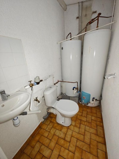 62.jpg