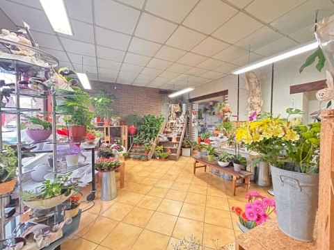 Vente Bazar / cadeaux, 126 m2 dans le Nord (59) en France