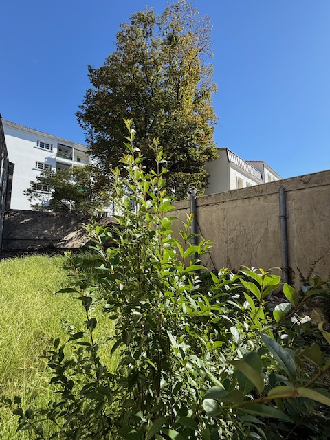 photo annonce