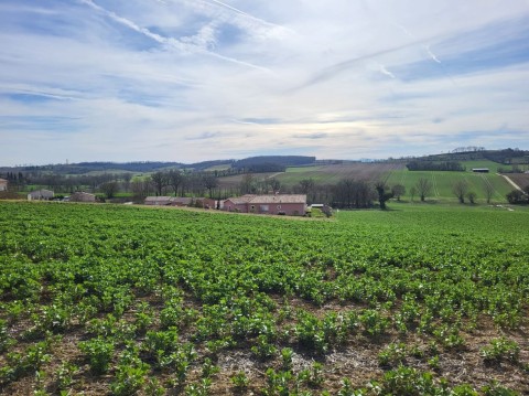 Vente Terrain à Monfort (32120) en France