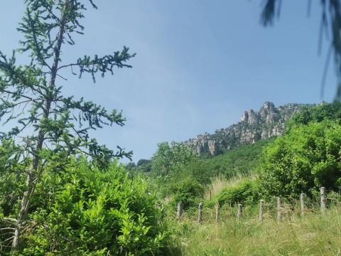 Vente Terrain, 42 m2 à Mostuéjouls (12720) en France