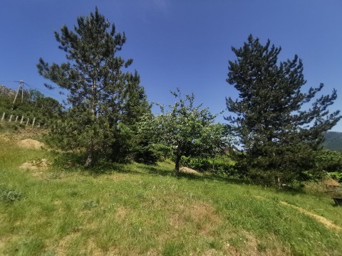 76.jpg