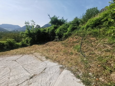 95.jpg
