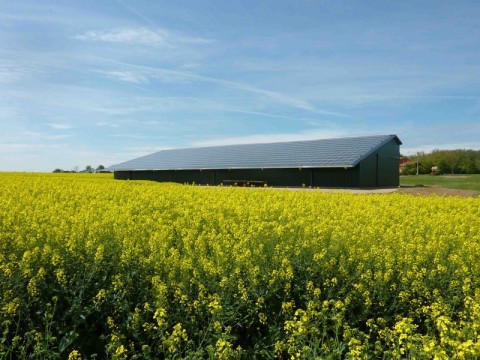 Vente Local d'activité / Entrepôt, 1200 m2 en Haute Garonne (31) en France