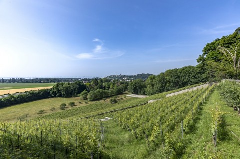 Vente Domaine d'exception (demeure, ferme viticole, manège , ...) à Neuchâtel en Suisse