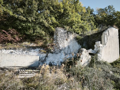 68.jpg