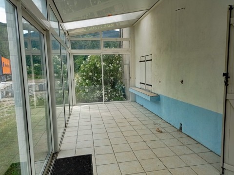 77.jpg