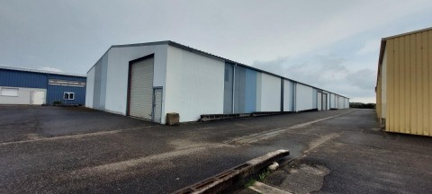 Vente Local commercial , 400 m2 à Molsheim (67120) en France