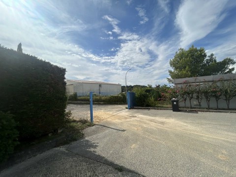 96.jpg