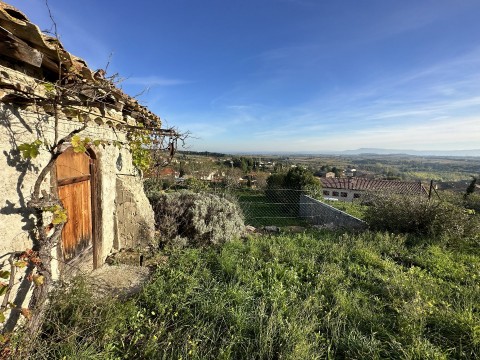 95.jpg