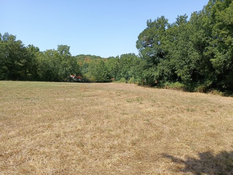Vente Terrain, 1268 m2 à Saïx (81710) en France