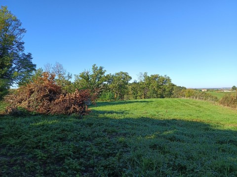 95.jpg