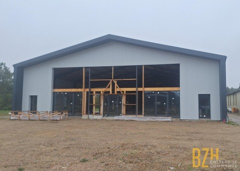 Vente Local professionnel de 950 m2 à Vannes (56000) en France