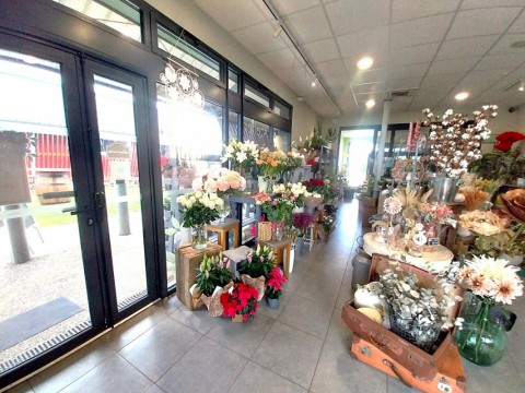 Vente Boutique de fleurs, décoration florale, cérémonies près de Saintes (17100) en France