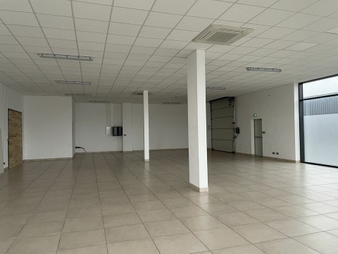 103.jpg