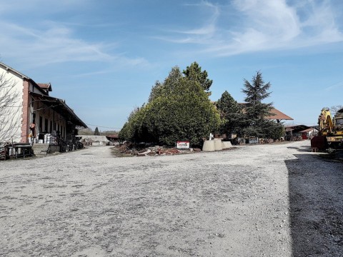 73.jpg