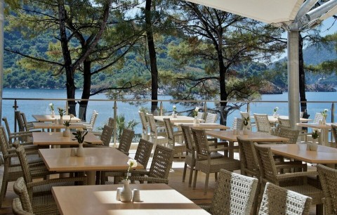 Vente Restaurant 85 couverts avec terrasse à Montpellier (34000)