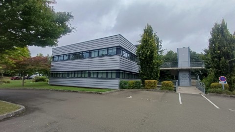 100.jpg