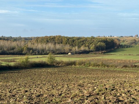 Vente Domaine de plus de 12 hectares offrant un équilibre entre production viticole, exploitation forestière et agrément en nature, à Castelviel (33540)