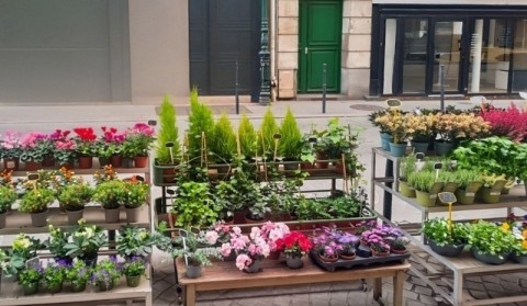Vente Fleuriste, 50 m2 dans un quartier commerçant et passant, à Colombes (92700)