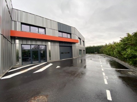 Vente Local d'activité / Entrepôt, 125 m2 à Sillingy (74330) en France