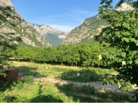 Vente Terrain, 1000 m2 à Saint-Jean-en-Royans (26190)