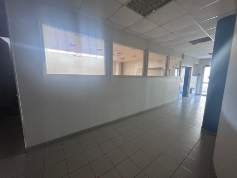 87.jpg