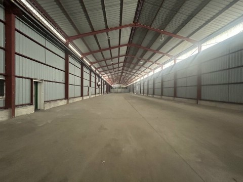 Vente Local d'activité / Entrepôt, 14000 pi2 à Avignon (84000) en France