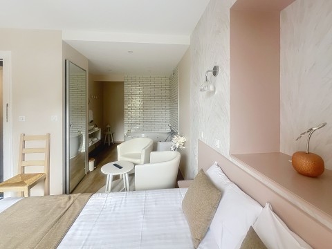 Vente Hôtel restaurant 3* d'environ 17 chambres avec terrasse dans un village dynamique, proche de Roanne (42300) en France