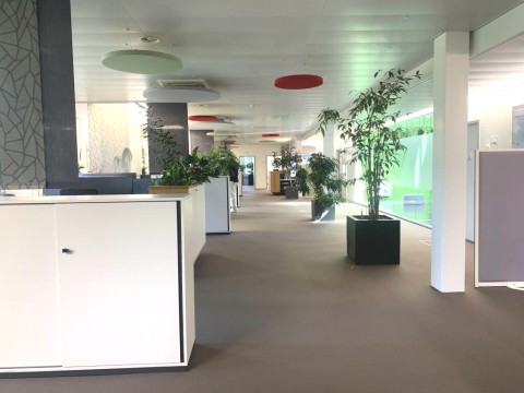 Vente Bureaux / Locaux professionnels de 400 m2 dans la zone commerciale de Crissier en Suisse