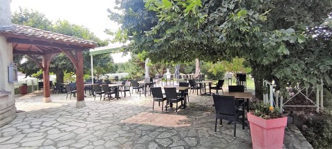 Vente Immeuble, Restaurant 70 couverts avec terrasse sur un axe passant, à Castelsarrasin (82100)