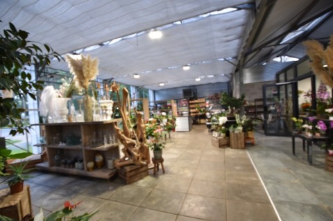 Vente Fleuriste - vente et prestation de services à Digoin (71160)