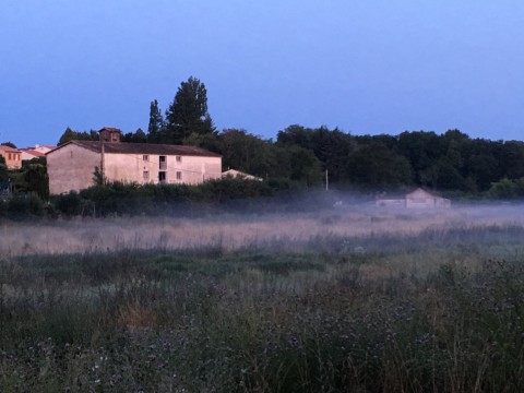 Vente Entrepôt de 540 m2 à L'Hermenault (85570) en France