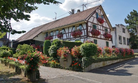 Vente Dépôt de pain situé à la frontière Suisse dans le Haut-Rhin (68)