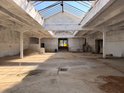 Vente Murs commerciaux, 800 m2 en plein centre ville de  Tassin-la-Demi-Lune (69160)