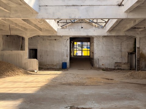 96.jpg