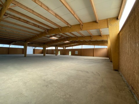 Vente Local d'activité / Entrepôt, 2000 m2 à Ibos (65420)