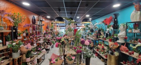 Vente Fleuriste - deux magasins à Cournon-d'Auvergne (63800)