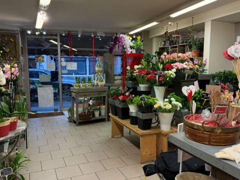 Vente Fleuriste dans un quartier commerçant en plein essor, à Rouen (76000)