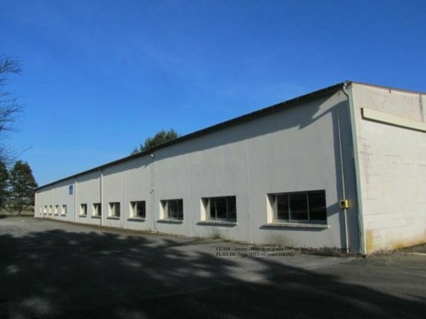 Vente Local d'activité / Entrepôt, 1244 m2 à Biesles (52340)