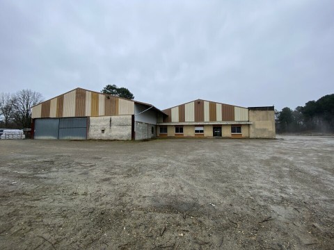 Vente Local d'activité de 1 7720 pi2 à Mont-de-Marsan (40000) en France