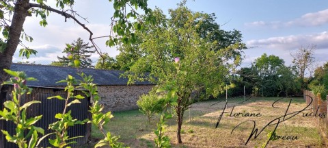 Vente Terrain à Rochefort-sur-Loire (49190)