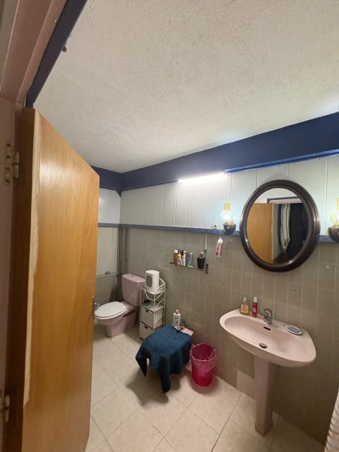 47.jpg