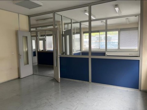 Vente Bâtiment mixte de 1 100 m2 à Cluses (74300)