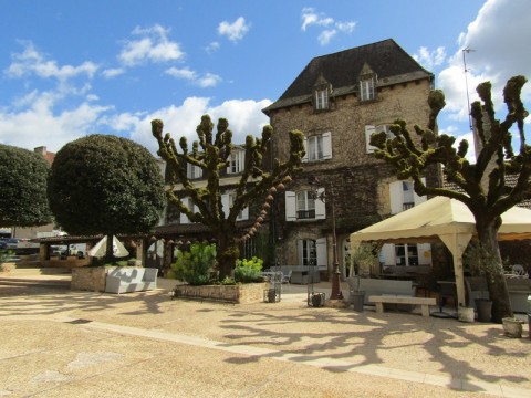 Vente Bar, Hôtel restaurant de 19 chambres avec terrasse à Les Eyzies-de-Tayac-Sireuil (24620)