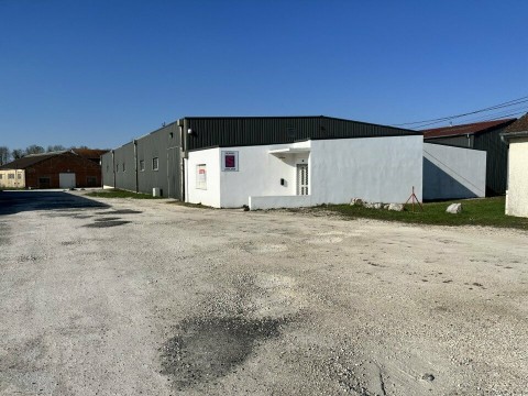 Vente Local d'activité / Entrepôt, 1000 m2 à Saint-Dizier (52100)