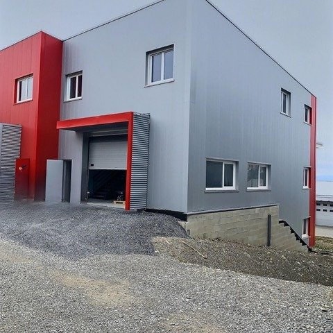 Vente Local d'activité / Entrepôt, 312 m2 dans une zone artisanale, proche d'Évian-les-Bains (74500)