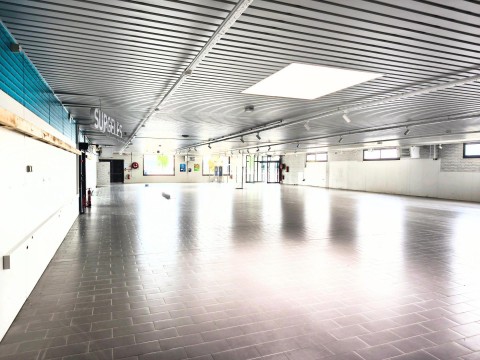 Vente Local commercial de 1372 m2 pour plusieurs activités à Châtenois (88170)